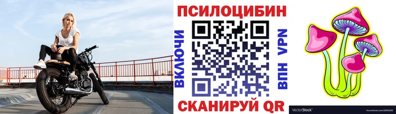 Псилоцибиновые грибы Cubensis  дарк нет состав  Нестеровская  наркота 
